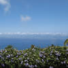 Tijarafe, La Palma: Finca Tia Rosario Ferienhaus Kanarische Inseln, La Palma, Teneriffa, El Hierro.