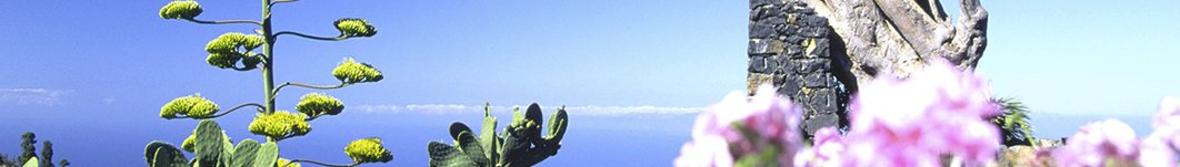 Ferienhaus mieten auf La Palma, El Hierro oder Teneriffa. Urlaub auf der Finca, Kanarische Inseln.