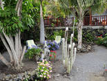 Fuencaliente / Las Indias, La Palma: Casa Goronas Ferienhaus Kanarische Inseln, La Palma, Teneriffa, El Hierro.