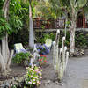 Fuencaliente / Las Indias, La Palma: Casa Goronas Ferienhaus Kanarische Inseln, La Palma, Teneriffa, El Hierro.