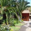 Tijarafe / Puntagorda, La Palma: casa Toña Ferienhaus Kanarische Inseln, La Palma, Teneriffa, El Hierro.