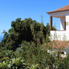 Tijarafe, La Palma: Finca Tia Rosario Holiday homes on the Canary Islands, La Palma, Tenerife, El Hierro