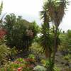 Fuencaliente / Las Indias, La Palma: Casa Yanes Ferienhaus Kanarische Inseln, La Palma, Teneriffa, El Hierro.