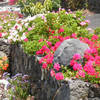 Fuencaliente / Los Quemados, La Palma: Casa Los Melindros Holiday homes on the Canary Islands, La Palma, Tenerife, El Hierro