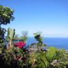 Fuencaliente / Las Indias, La Palma: Casa Mangos Ferienhaus Kanarische Inseln, La Palma, Teneriffa, El Hierro.