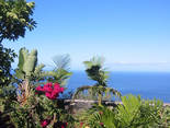 Fuencaliente / Las Indias, La Palma: Casa Mangos Ferienhaus Kanarische Inseln, La Palma, Teneriffa, El Hierro.
