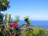 Fuencaliente / Las Indias, La Palma: Casa Mangos Holiday homes on the Canary Islands, La Palma, Tenerife, El Hierro