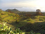 El Hierro, El Hierro: Finca El Matel Holiday homes on the Canary Islands, La Palma, Tenerife, El Hierro