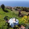 Garafia / Santo Domingo, La Palma: Casa Lomo de la Cruz Holiday homes on the Canary Islands, La Palma, Tenerife, El Hierro