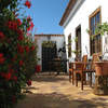 Tijarafe, La Palma: Finca Tia Rosario Holiday homes on the Canary Islands, La Palma, Tenerife, El Hierro