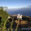 Garafia / Santo Domingo, La Palma: Casa Lomo de la Cruz Ferienhaus Kanarische Inseln, La Palma, Teneriffa, El Hierro.