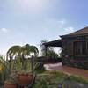 Tijarafe, La Palma: Casa El Topo Holiday homes on the Canary Islands, La Palma, Tenerife, El Hierro
