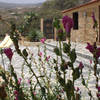 Südosten, Teneriffa: Casa Cha Carmen Ferienhaus Kanarische Inseln, La Palma, Teneriffa, El Hierro.