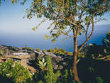 Garafia / Santo Domingo, La Palma: Casa Lomo de la Cruz Holiday homes on the Canary Islands, La Palma, Tenerife, El Hierro