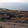 El Hierro / La Frontera, El Hierro: casita Sabrina Ferienhaus Kanarische Inseln, La Palma, Teneriffa, El Hierro. El Hierro / La Frontera, El Hierro: casita Sabrina Ferienhaus Kanarische Inseln, La Palma, Teneriffa, El Hierro.