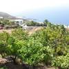 Fuencaliente / Las Indias, La Palma: Casa Naranjos - neue Fotos! Ferienhaus Kanarische Inseln, La Palma, Teneriffa, El Hierro.