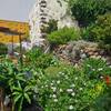 El Hierro / El Pinar, El Hierro: casa Dos Lunas Ferienhaus Kanarische Inseln, La Palma, Teneriffa, El Hierro.