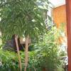 El Hierro / Frontera, El Hierro: Apartment Rosi Holiday homes on the Canary Islands, La Palma, Tenerife, El Hierro