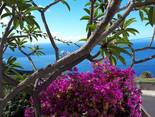 Fuencaliente / Las Indias, La Palma: Casa Huerta 2 Ferienhaus Kanarische Inseln, La Palma, Teneriffa, El Hierro.