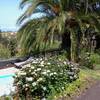 Tijarafe / Puntagorda, La Palma: casa Toña Ferienhaus Kanarische Inseln, La Palma, Teneriffa, El Hierro.