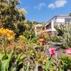 Mazo, La Palma: Finca Fidel Holiday homes on the Canary Islands, La Palma, Tenerife, El Hierro