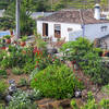 Mazo, La Palma: Finca Priscila Ferienhaus Kanarische Inseln, La Palma, Teneriffa, El Hierro.