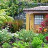 Fuencaliente / Las Indias, La Palma: Casa Mangos Holiday homes on the Canary Islands, La Palma, Tenerife, El Hierro