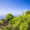 Fuencaliente / Los Quemados, La Palma: Casa Morera Ferienhaus Kanarische Inseln, La Palma, Teneriffa, El Hierro.