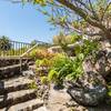 Mazo, La Palma: Finca Felipe Lugo Ferienhaus Kanarische Inseln, La Palma, Teneriffa, El Hierro.