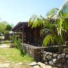 Tijarafe, La Palma: Casa El Topo Holiday homes on the Canary Islands, La Palma, Tenerife, El Hierro