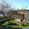 Tijarafe / La Punta, La Palma: Casa El Tributo Ferienhaus Kanarische Inseln, La Palma, Teneriffa, El Hierro.