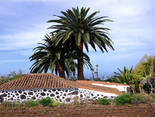 Tijarafe / La Punta, La Palma: Casa Carpintera Holiday homes on the Canary Islands, La Palma, Tenerife, El Hierro