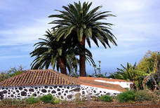 Casa Carpintera Casa Carpintera