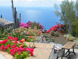 Fuencaliente / Los Quemados, La Palma: Casa Los Melindros Holiday homes on the Canary Islands, La Palma, Tenerife, El Hierro