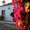 Tijarafe, La Palma: Casa El Naranjo Viejo Ferienhaus Kanarische Inseln, La Palma, Teneriffa, El Hierro.