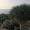 Mazo / Tigalate, La Palma: Casa Volcanes Holiday homes on the Canary Islands, La Palma, Tenerife, El Hierro