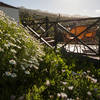 Tijarafe, La Palma: Casa Lomito Ferienhaus Kanarische Inseln, La Palma, Teneriffa, El Hierro.