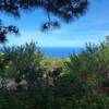 Tijarafe, La Palma: Casa El Molino Viejo Ferienhaus Kanarische Inseln, La Palma, Teneriffa, El Hierro. Tijarafe, La Palma: Casa El Molino Viejo Ferienhaus Kanarische Inseln, La Palma, Teneriffa, El Hierro.