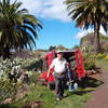 Tijarafe / La Punta, La Palma: Casa El Tributo Holiday homes on the Canary Islands, La Palma, Tenerife, El Hierro