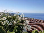 Tijarafe, La Palma: Casa Las Pareditas Ferienhaus Kanarische Inseln, La Palma, Teneriffa, El Hierro.