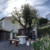 El Hierro / El Pinar, El Hierro: casa Dos Lunas Ferienhaus Kanarische Inseln, La Palma, Teneriffa, El Hierro.