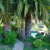 Tijarafe / Puntagorda, La Palma: casa Toña Ferienhaus Kanarische Inseln, La Palma, Teneriffa, El Hierro.