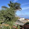 El Hierro / El Pinar, El Hierro: casa Dos Lunas Ferienhaus Kanarische Inseln, La Palma, Teneriffa, El Hierro.