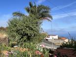 El Hierro / El Pinar, El Hierro: casa Dos Lunas Ferienhaus Kanarische Inseln, La Palma, Teneriffa, El Hierro.