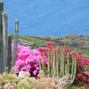 Fuencaliente / Los Quemados, La Palma: Casa Los Melindros Ferienhaus Kanarische Inseln, La Palma, Teneriffa, El Hierro.