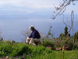 Tijarafe, La Palma: Casa Nuria Holiday homes on the Canary Islands, La Palma, Tenerife, El Hierro