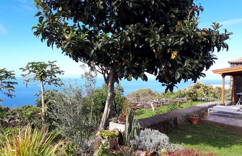 Tijarafe / La Punta, La Palma: Casa El Tributo Holiday homes on the Canary Islands, La Palma, Tenerife, El Hierro