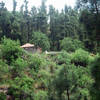 Tijarafe, La Palma: Casa Nuria Ferienhaus Kanarische Inseln, La Palma, Teneriffa, El Hierro.