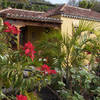 Fuencaliente / Las Indias, La Palma: Casa Mangos Ferienhaus Kanarische Inseln, La Palma, Teneriffa, El Hierro.