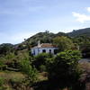 Mazo, La Palma: Finca Felipe Lugo Holiday homes on the Canary Islands, La Palma, Tenerife, El Hierro